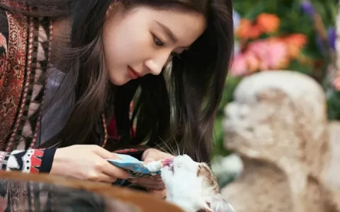 《去有风的地方》：用最温柔的一击，让我再次想起这个世界的温暖(有去的地方用英文怎么说)