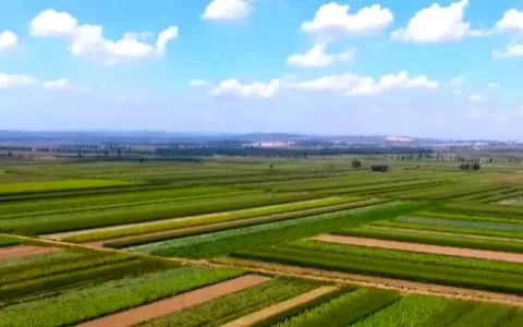 能帮你快速了解乌克兰地理地貌特征特产及风土人情（乌克兰的地理特征简介）