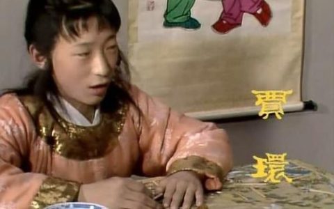 《红楼梦》：王夫人的丫鬟彩霞和彩云，为什么都会看上贾环？(彩云和彩霞谁和贾环有旧)