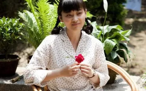 《父母爱情》中有哪些细思恐极的细节？-父母爱情最后一集