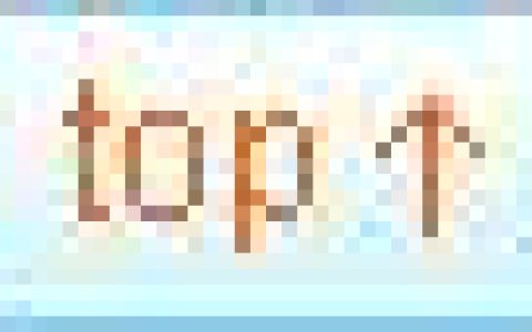 天津市小客车车牌指标摇号申请流程，津牌摇号申请流程(天津机动车号牌摇号申请条件)