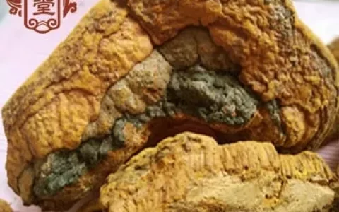 什么是桑黄，桑树桑黄怎么辨别好坏，多少钱一斤，一文全懂（桑树桑黄怎么用效果好）