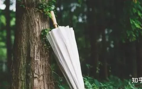 感觉体内湿气很重，不知道什么方法能快速祛湿？-体内湿气太重怎样除湿气