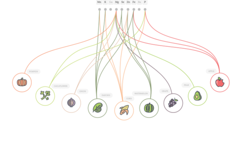 XMind有哪些鲜为人知的使用技巧？