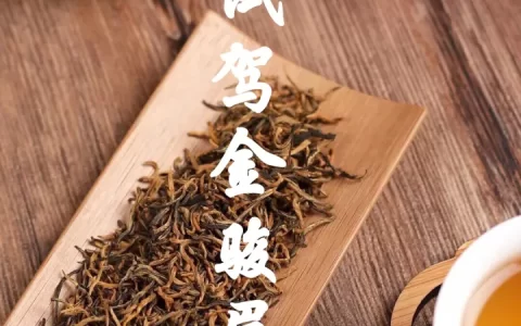 【金骏眉茶】金骏眉属于什么茶 金骏眉的功效与作用及禁忌 金骏眉怎么泡（金骏眉是什么茶）