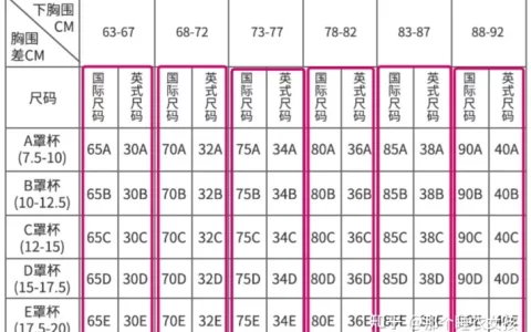 文胸尺码对照表36/80   ？-文胸尺码尺码