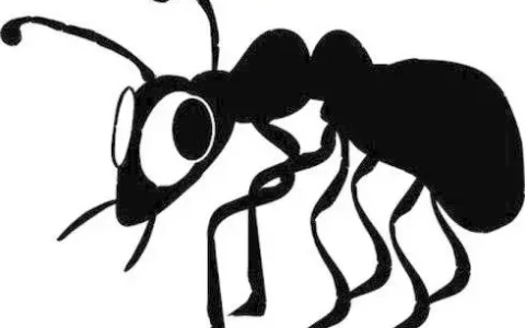 蚂蚁怕什么?如何远离蚂蚁的侵扰?(蚂蚁怕什么呢)