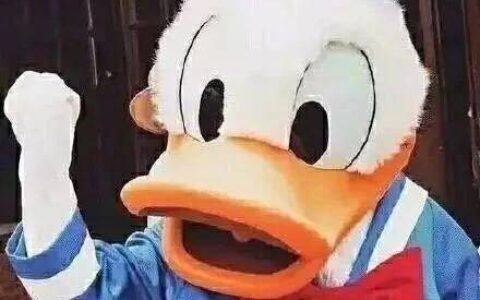 2019年考教师资格证要用到的各网址全在这里，赶快收藏起来吧！(教师资格证官网用什么浏览器打开)