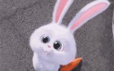 西藏天珠品类介绍！-西藏天珠品类介绍图