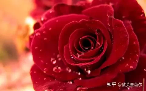 脸上有斑怎么去除？-脸上有斑怎么去除最快