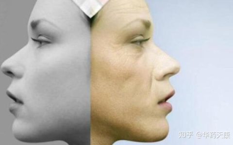 这几种碱性食物，既饱口福又抗衰老-碱性食物比如哪些水果