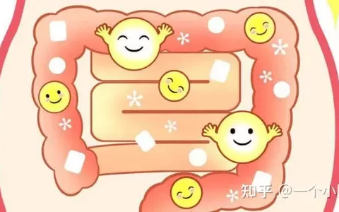 如果我们经常放屁太多，很可能是身体有这种问题-经常放屁多好吗?