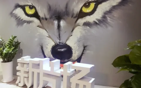 在新片场工作是一种什么样体验？