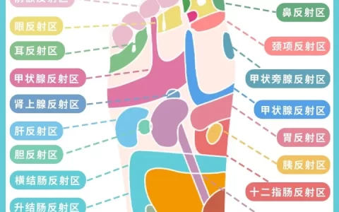 【足部反射区】足部按摩指南：正确抠jio，高效养生-足部反射区按摩疗法定义