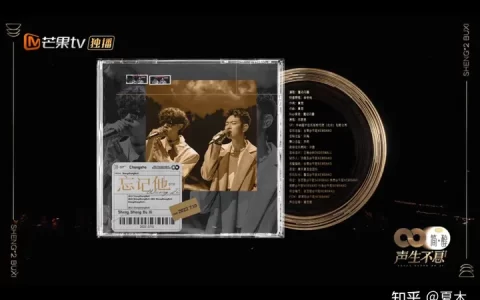 如何评价《声生不息》第十二期（金曲盛典）？(深声不息第12期完整版)