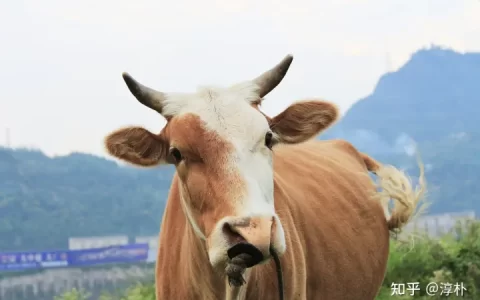 十大不起眼却没人干但是赚钱的行业(什么生意没人做又赚钱的那种)