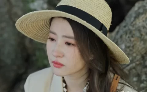 如何评价刘亦菲主演的首部现代剧《去有风的地方》？(刘亦菲演戏)