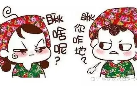 有意思的东北话