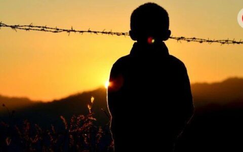 【慕课网好课分享】免费学慕课网前端干货，无套路！(慕课网的课怎么样)