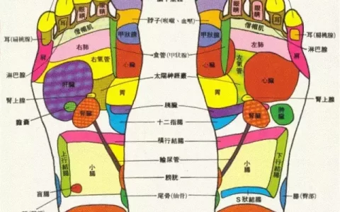 最全足底按摩、脚底按摩方法，肝胆病痛不上身（手法图解）-足底按摩手法步骤