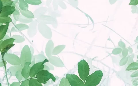 有哪些让你一眼万年的绿色系壁纸？(绿色壁纸大全图片清新自然)