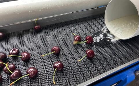 逃离狗屁工作，我去澳洲做快乐的日结工(去澳州打工挣钱吗)