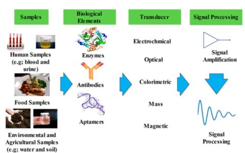 云恒制造：生物传感器助力血糖监测行业变革