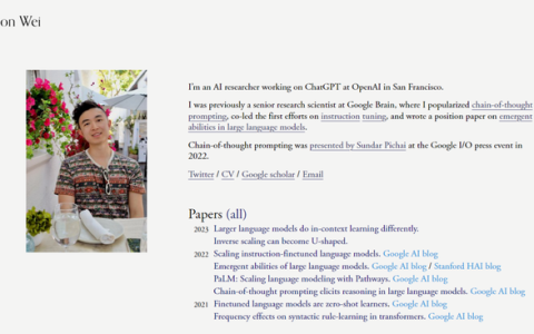 大模型“涌现”的思维链，究竟是一种什么能力？
