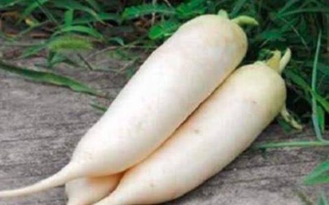 感冒咳嗽吃什么食物？常买这些蔬菜和水果，预防感冒（感冒咳嗽吃哪些蔬菜比较好）