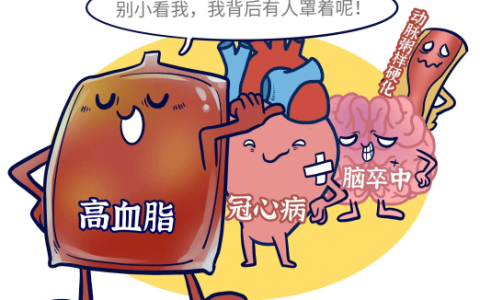 悦思立普：甘油三酯升高怎么办？吃什么才能有效降血脂？