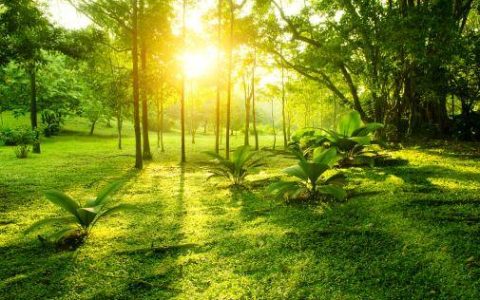 机器一响，黄金万两-机器一响黄金万两,机器一转