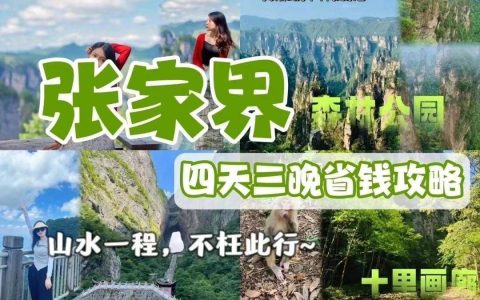 五月去张家界四日游_张家界旅游攻略及费用_张家界旅游-去张家界旅游五天多少钱