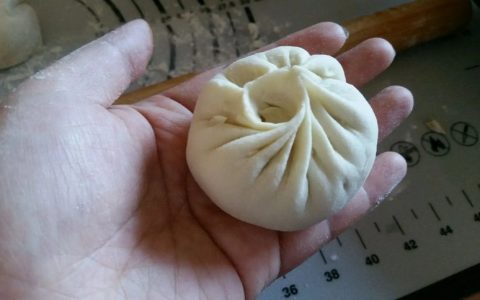 包子制作技术：探索美味包子的制作秘诀