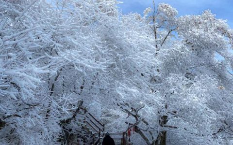 冬季老君山游玩攻略及注意事项(老君山的最佳游玩时间)