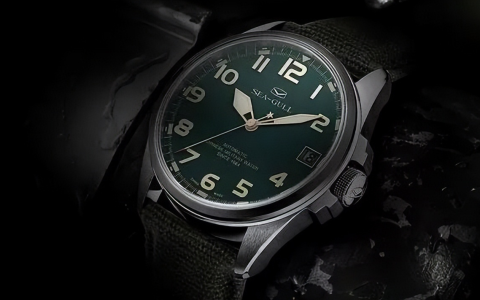 国产十大手表品牌？上海与海鸥才是真国表？（海鸥表在国内的地位）