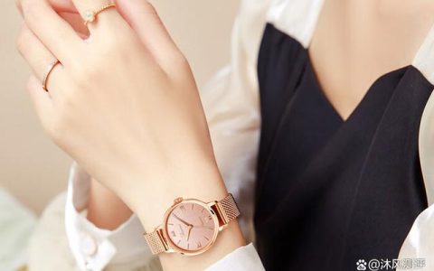 罗西尼手表属于什么档次？适合什么人佩戴？揭秘选购心得（罗西尼手表怎么样属于什么档次）