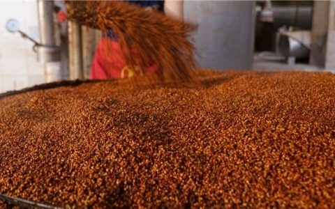 金樽吟属于什么档次的酒？(金樽吟是什么酒)