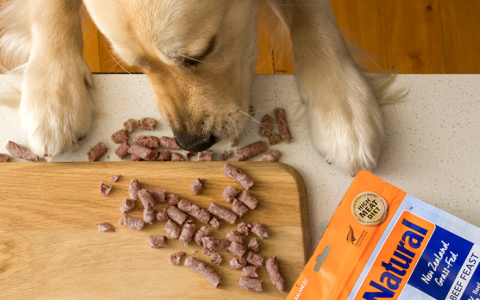 K9狗粮属于什么档次？铲屎官值得信赖的高端狗粮(k9的狗粮怎么样)