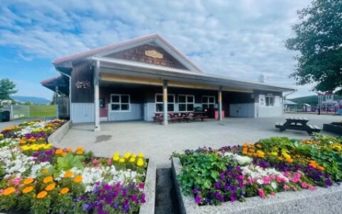 我，雅思5分，无工作经验要求，一次培训，三重移民保障！(雅思5分可以到英国留学吗)