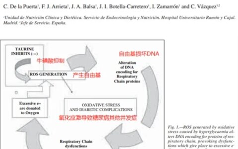 牛磺酸的健康益处有哪些，牛磺酸主要存在于哪些植物性食物里？（搜索一下牛磺酸）