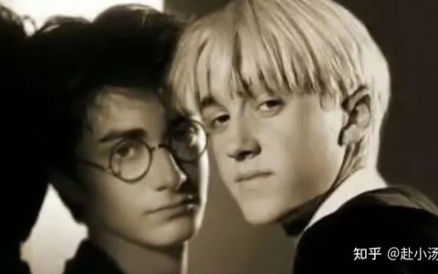 哈利波特最后跟谁结婚了?（哈利波特和谁在一起了?）