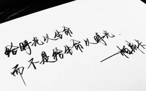 哈文悼念李咏去世两周年，道出为何将丈夫葬在美国，真相让人感动（哈文悼李咏文）