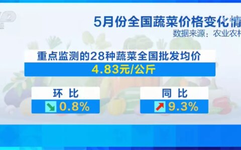关注“菜篮子” 5月份全国蔬菜价格环比小幅下降