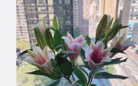 李咏离世近四年，哈文晒鲜花照纪念结婚30周年，回应当下生活状态（李咏妻子哈文的个人资料）