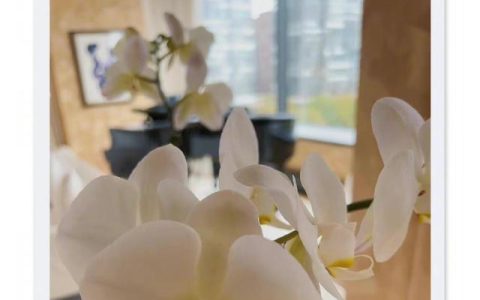 李咏逝世4周年，哈文回国，零点发文悼念！他们的爱情让人泪目！（李咏对哈文说的一段话）