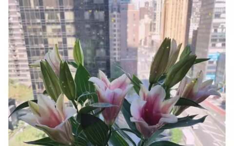 李咏妻子晒照纪念结婚30周年！与女儿定居美国，网友劝其再找他人那个高考故意考0分，写8000字抨击高考制度的蒋多多，现在怎样？（李咏和妻子）