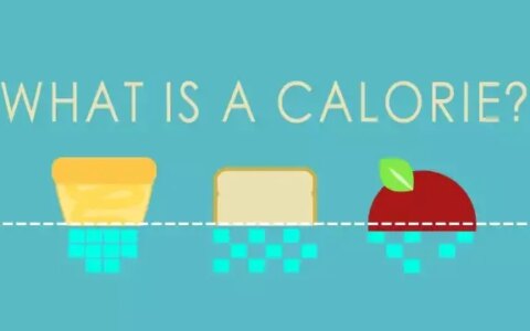 卡路里是如何计算的？(卡路里怎样计算)