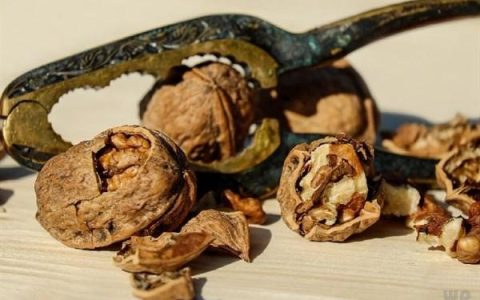 常见坚果热量科普！吃货们特别要注意(各类坚果的热量表)