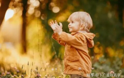 周易取名 虎年出生的宝宝起名：独特新颖且富贵的男孩名字(虎年生的男孩名字大全)