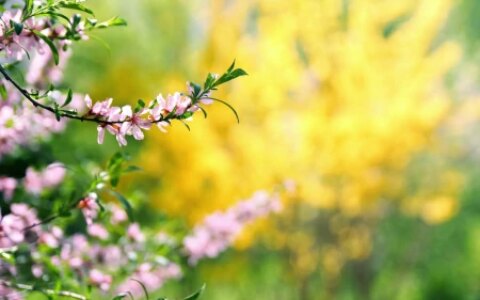 高三作文2023广州二模题“跨界者”分析解读(跨界作文800字议论文)